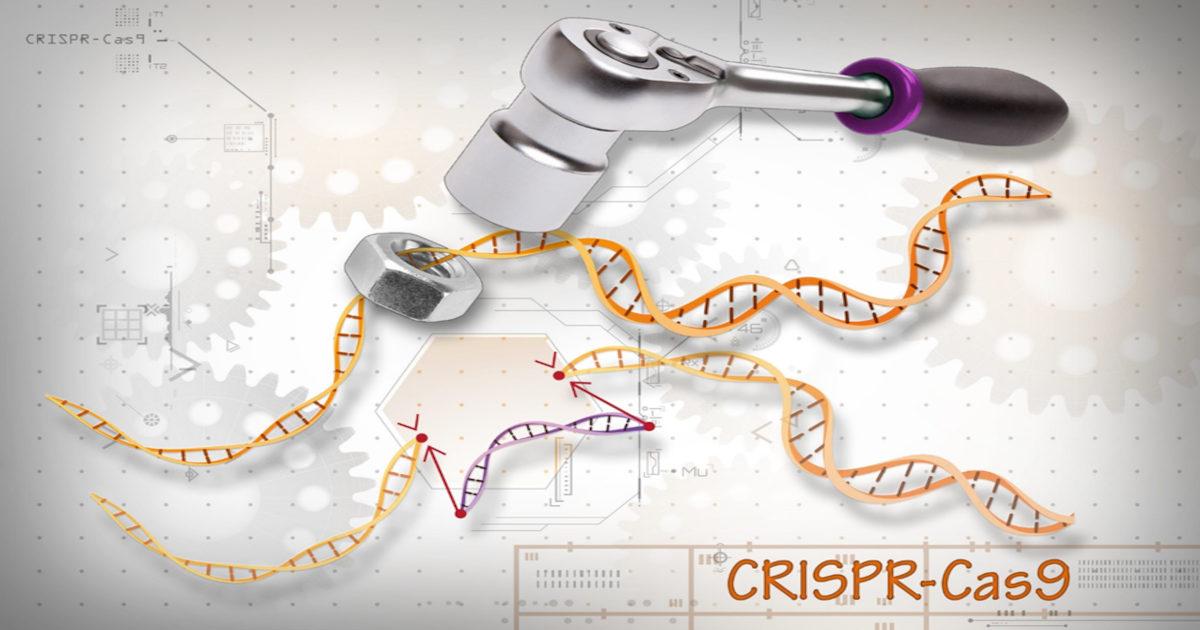 Preventing the Immune System from Rejecting Gene Therapy