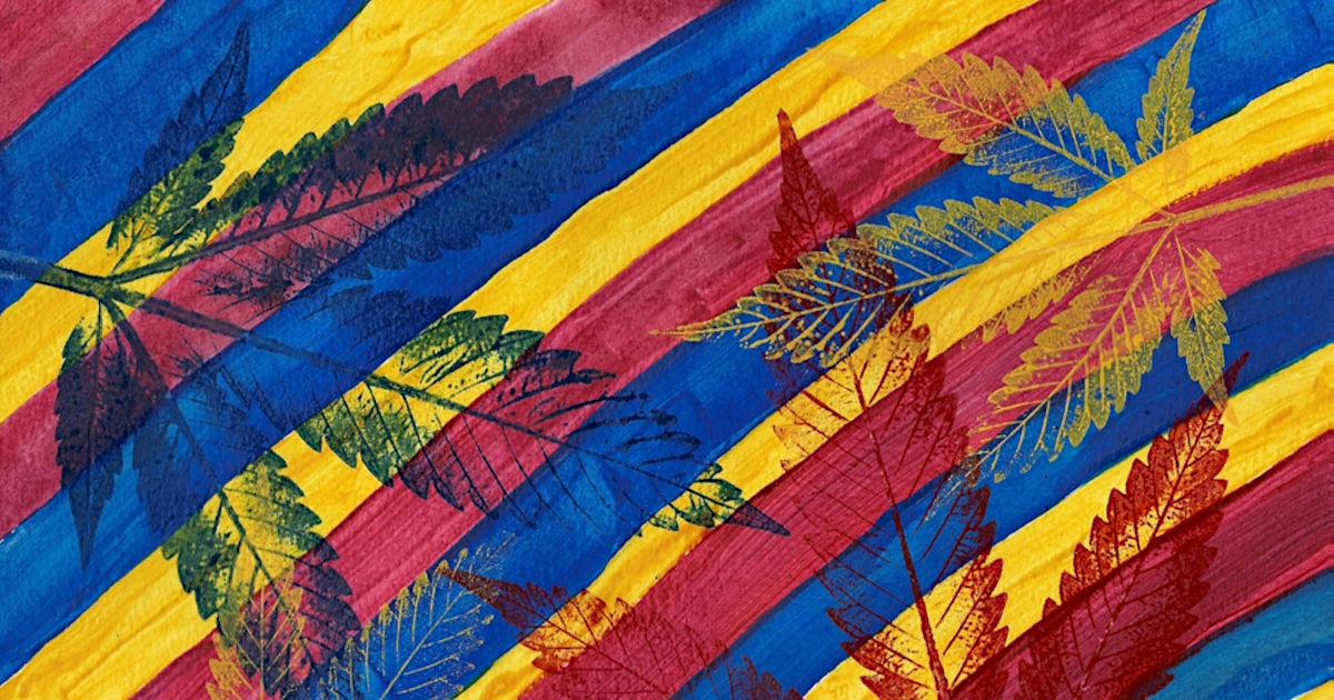 New York Marijuana Seeding Opportunity Initiative is One-of-a-kind