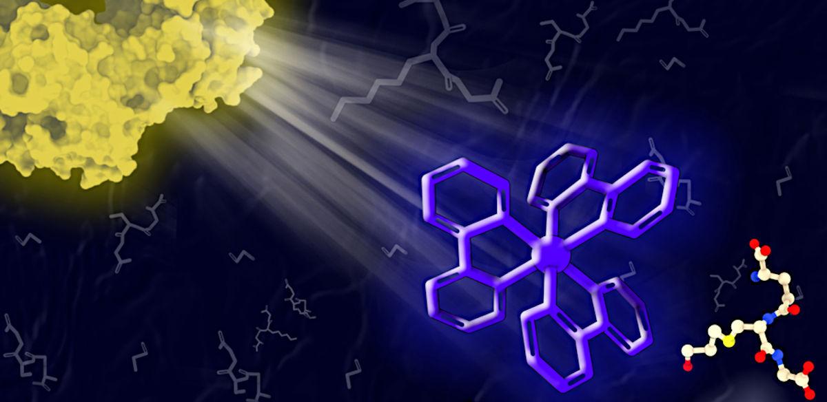 Next Generation Drugs and Agro-Chemicals Could be Manufactured by Sunlight