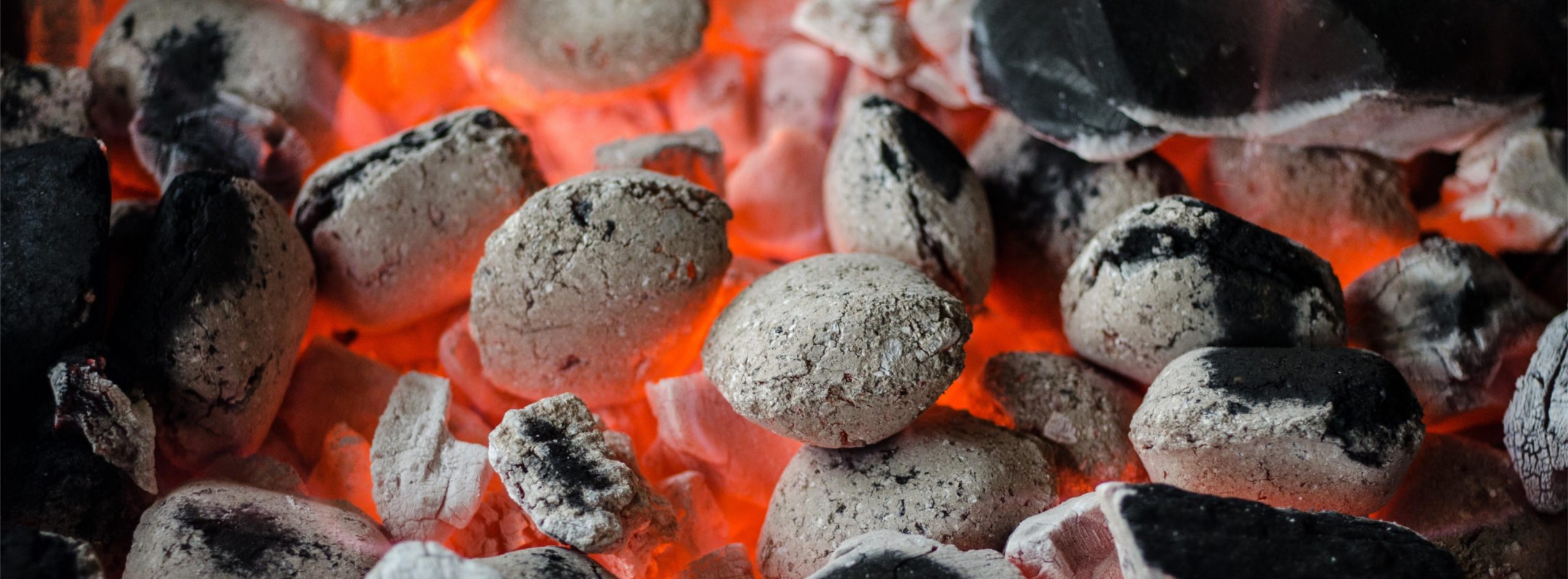 News – Will Green Dreams Turn Into Coal’s Nightmare?
