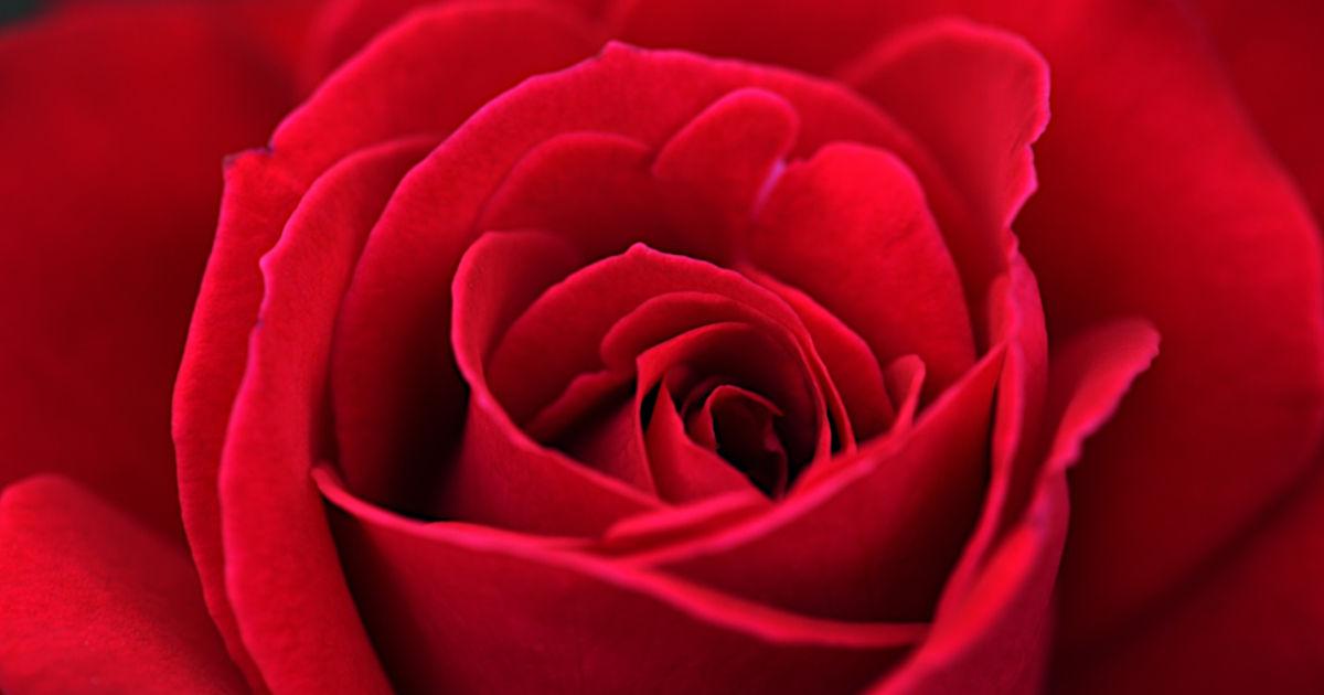 How Lovers Spend Money on Valentines Day