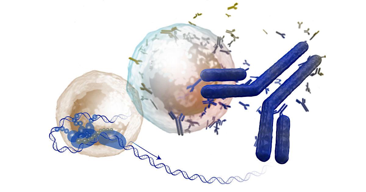 Developing Drugs with the Help of Transcription Factors