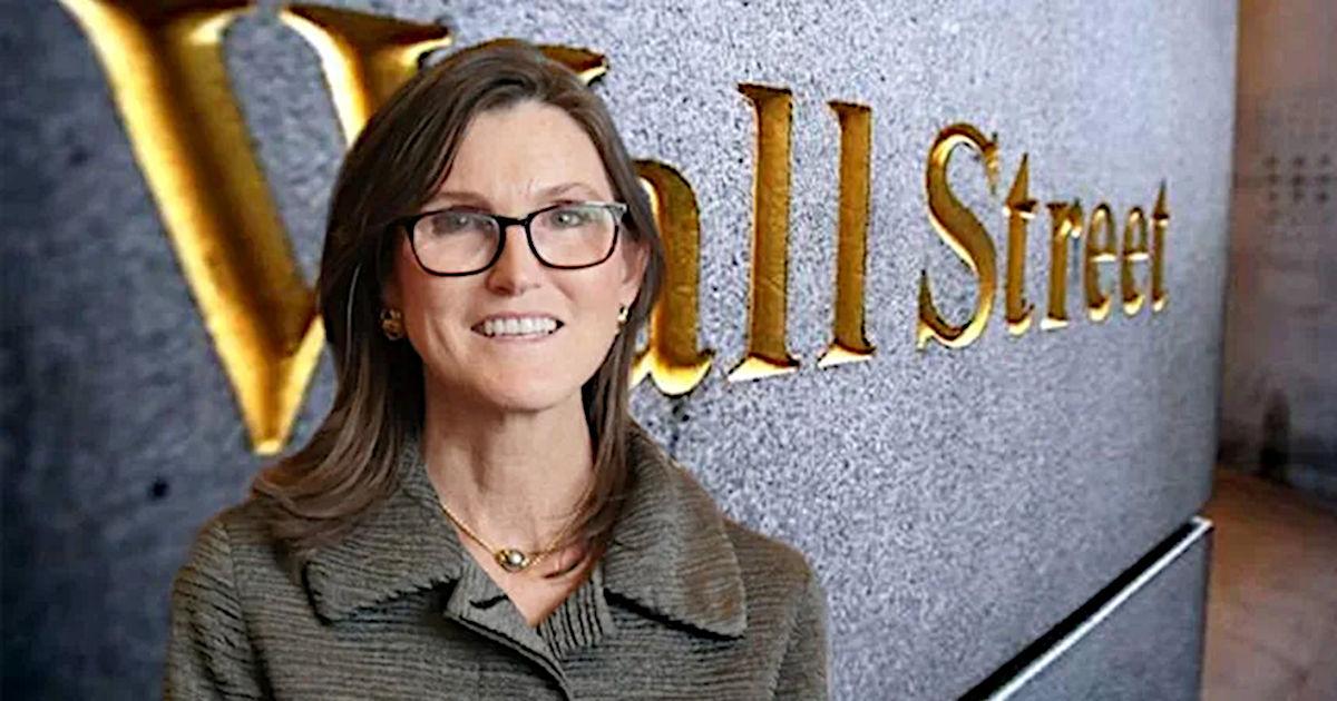 Crude Talk from Cathie Wood as She Remains Positive on Need for Innovation