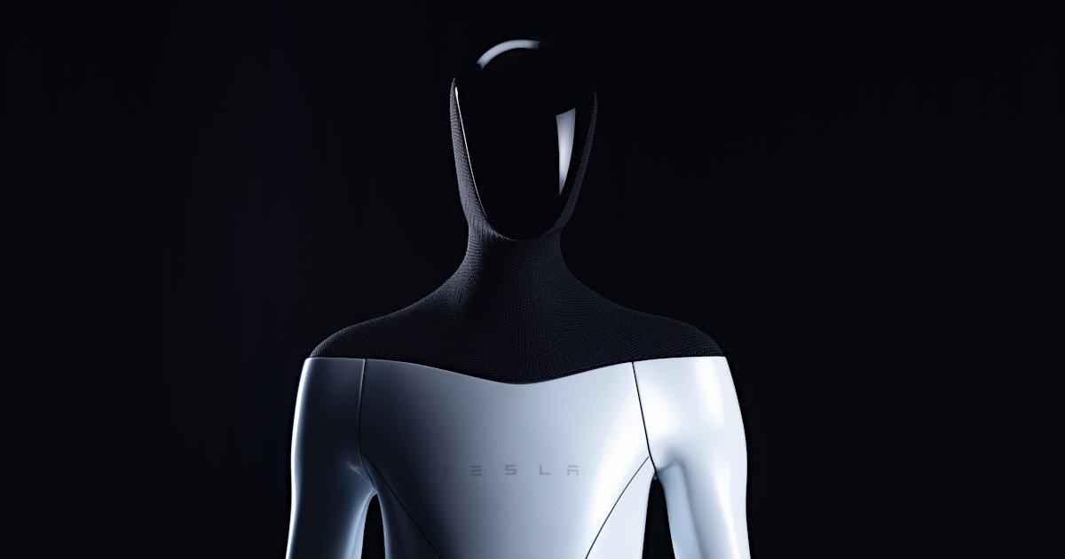 Academic Thoughts on Teslas Robots