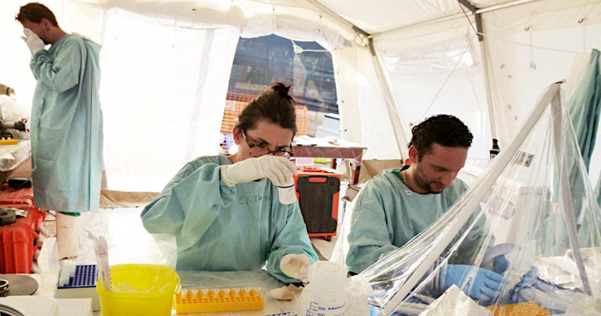Tracing the Origins of a Virus