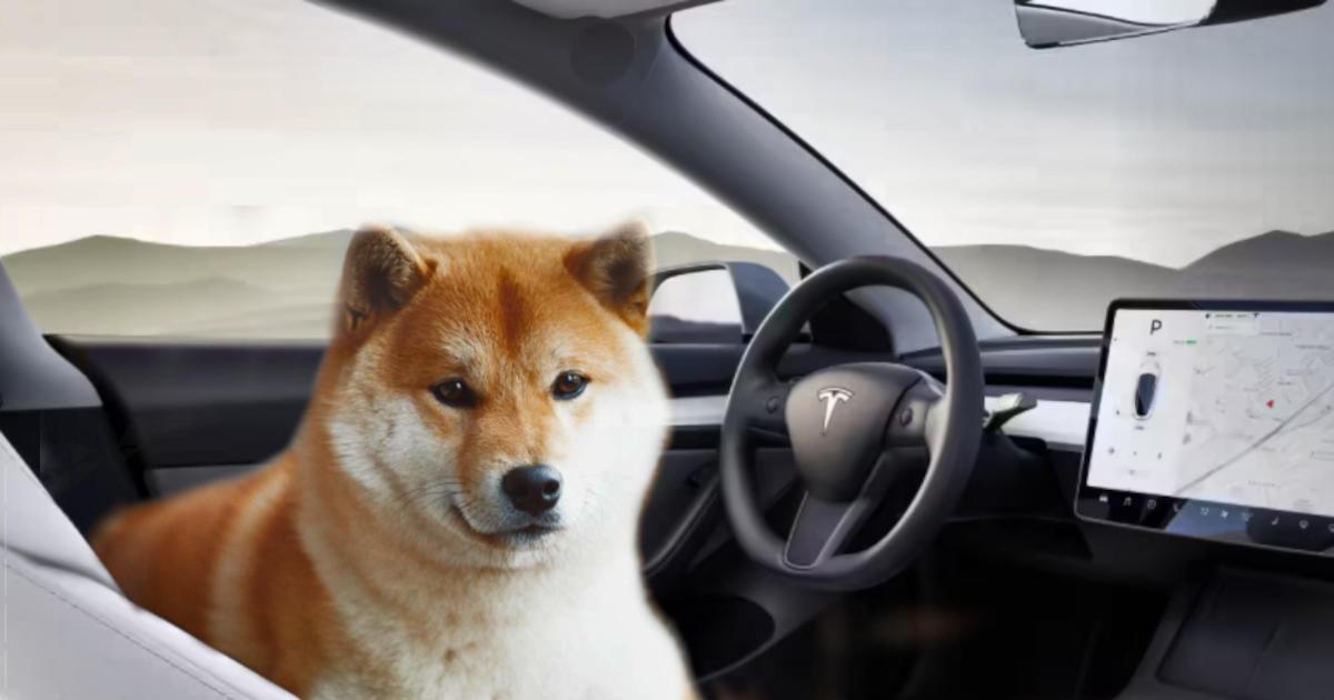 Musk Boosts DOGE Once Again