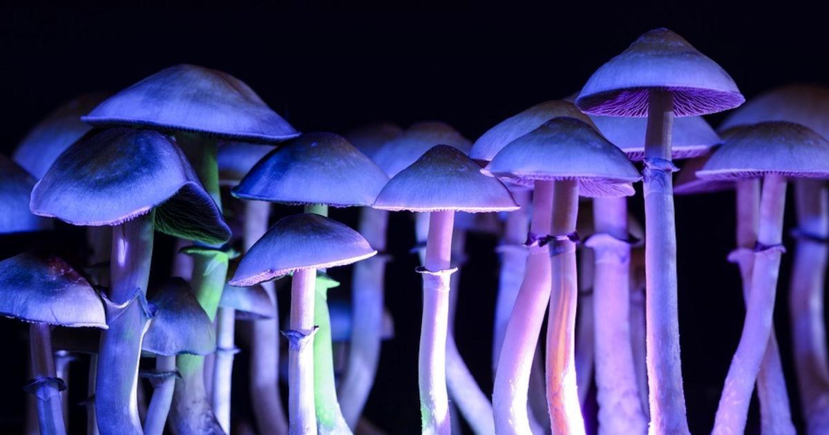 A Quick Look at 8 Small Caps in the Growing Psychedelics Space