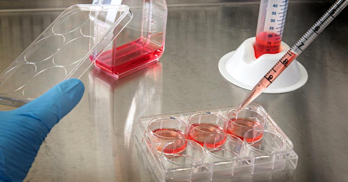 Why Stem Cell Stocks in 2021 Make Sense