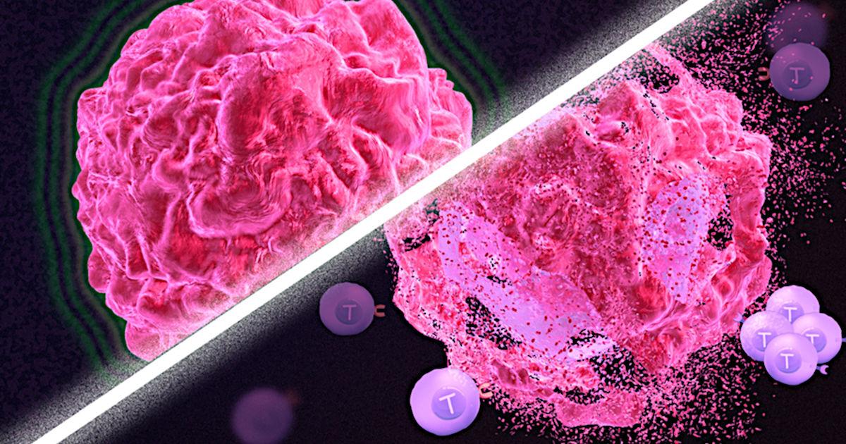 Attacking Tumors by Returning Cancer Cells to the Body