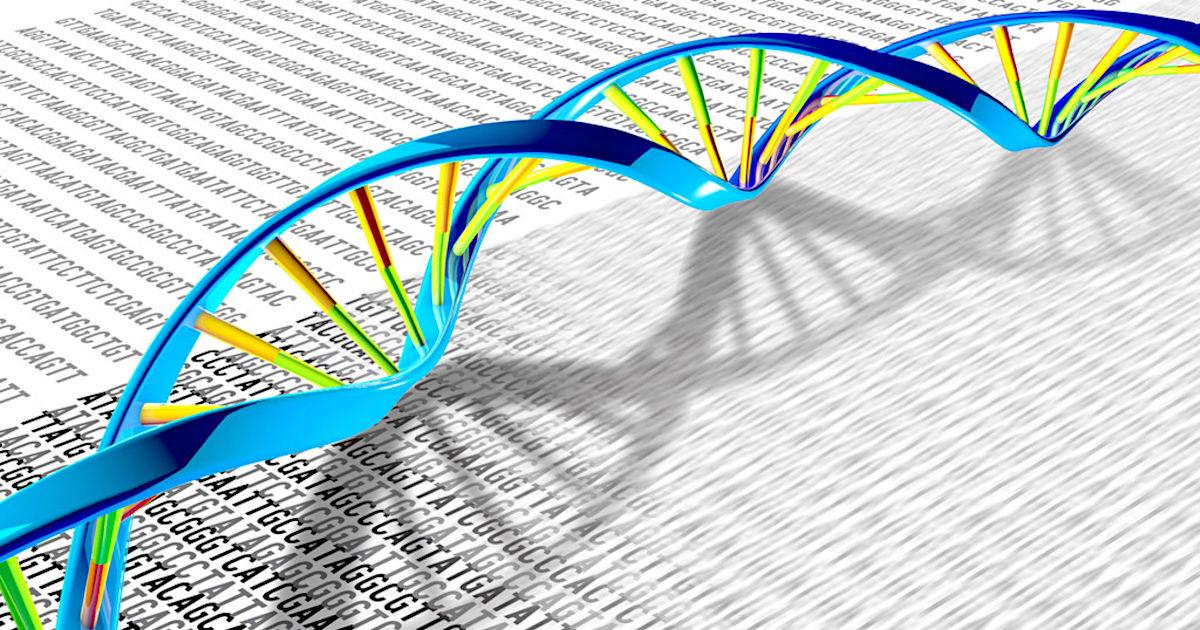 How Big is the News in the Telomere-to-Telomere Reports