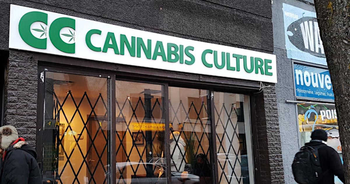 Is Cannabis Tourism a Good Idea