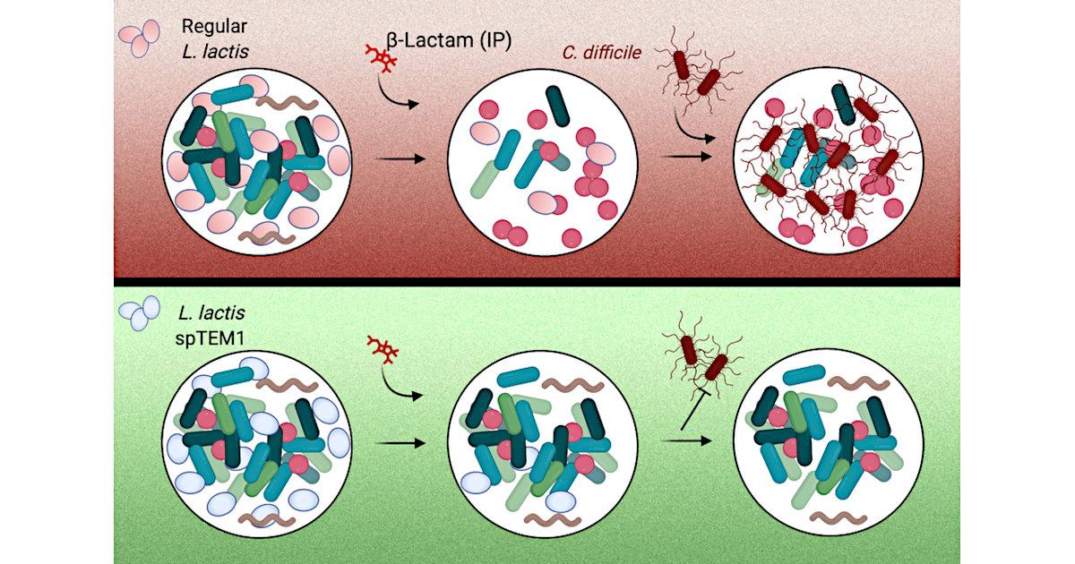 Synthetic Biology and a New Class of Antibiotics