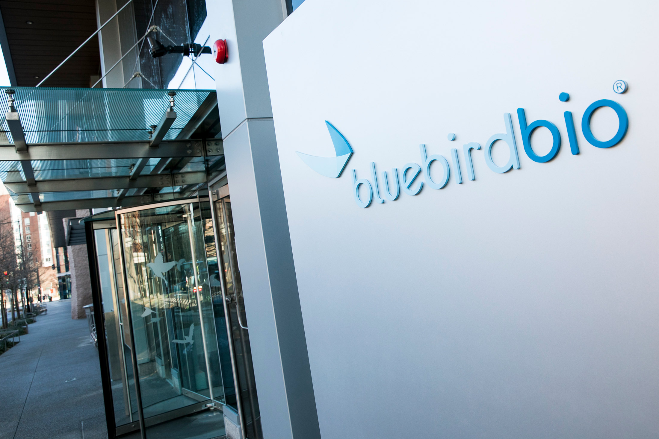 Bluebird Bio Announces $150 Million Public Offering to Fund Approved Gene Therapies